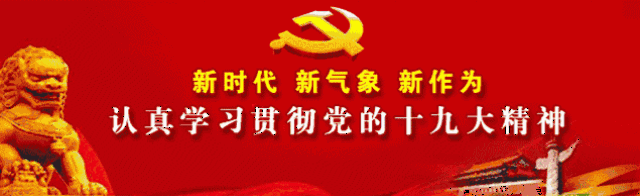 武定鸡养殖致富_云南武定养鸡合作社_武定土鸡养殖场
