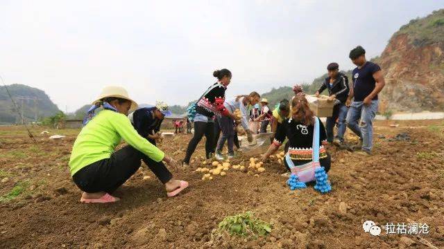 武定鸡养殖致富_云南武定养鸡合作社_武定土鸡养殖场