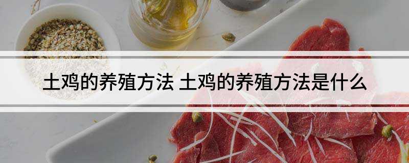 土鸡的养殖方法