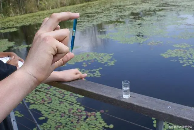 淡水虾养殖视频教程_淡水养虾技术视频_聊城淡水虾养殖技术