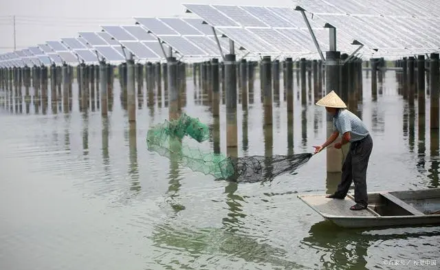 淡水养虾技术视频_淡水虾养殖视频教程_聊城淡水虾养殖技术
