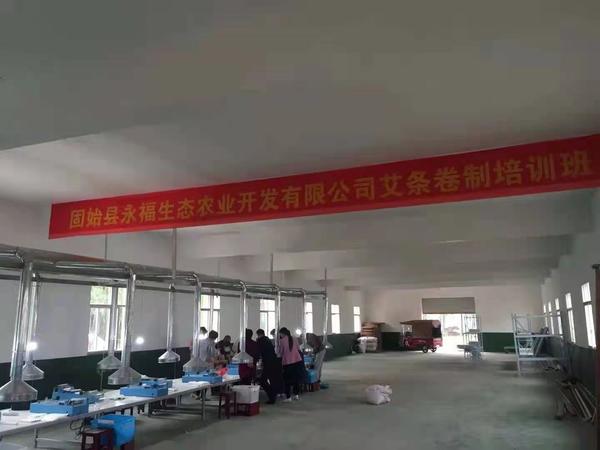 广西种艾草基地_广西种植艾草致富_广西艾草的功效