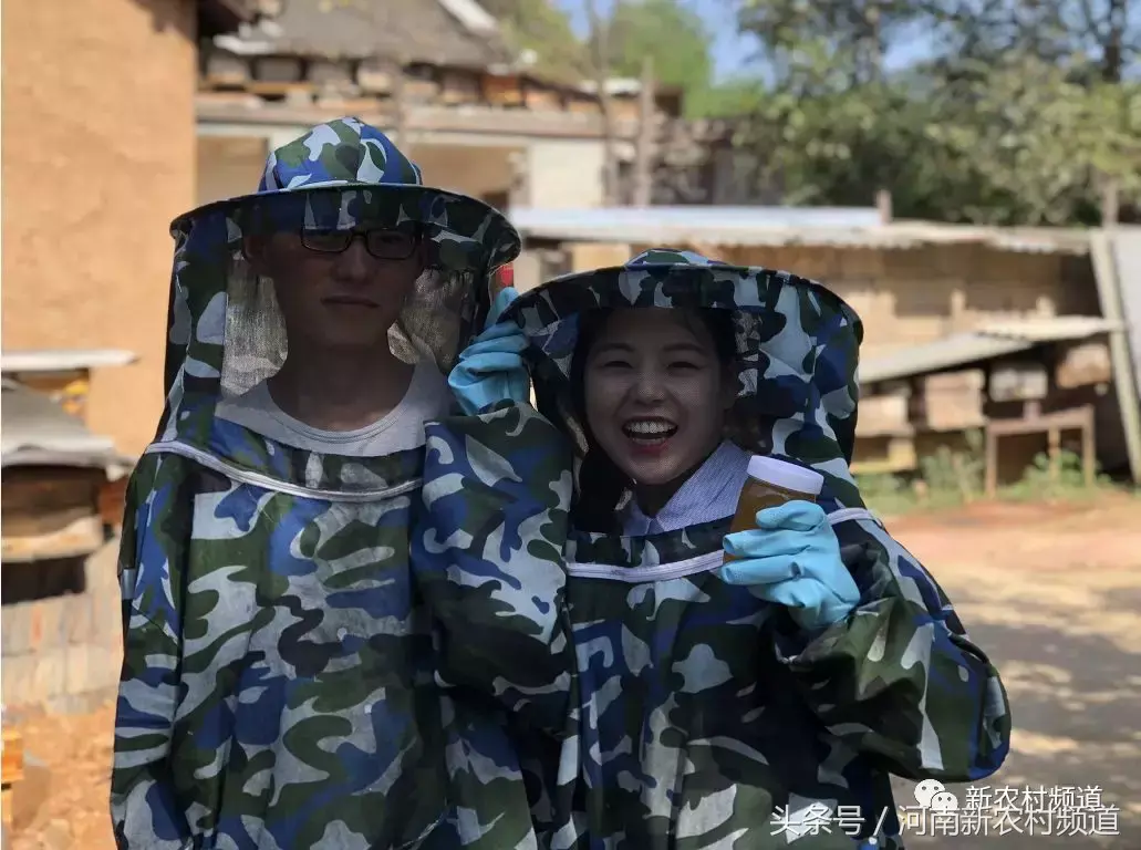 致富经深山养蜂人视频_大山里的养蜂人视频_视频致富深山养蜂人是真的吗