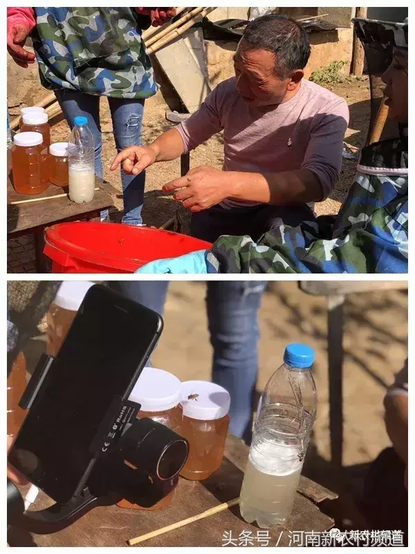 大山里的养蜂人视频_视频致富深山养蜂人是真的吗_致富经深山养蜂人视频