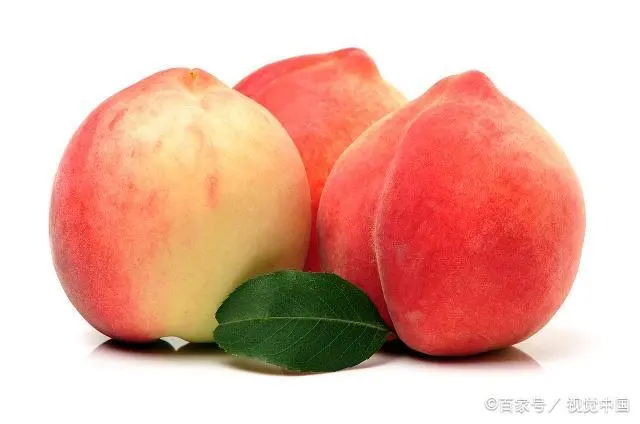 致富种植桃树图片_桃树种植增收致富_致富经桃树种植