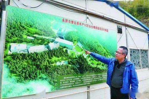 怀集养猪的集团公司有哪些_怀集养殖致富_怀集养猪公司