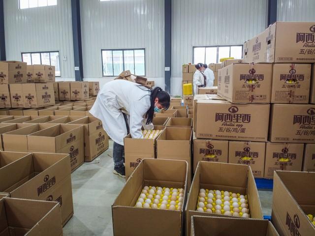 致富养殖项目_致富养殖行业怎么样_养殖致富的行业