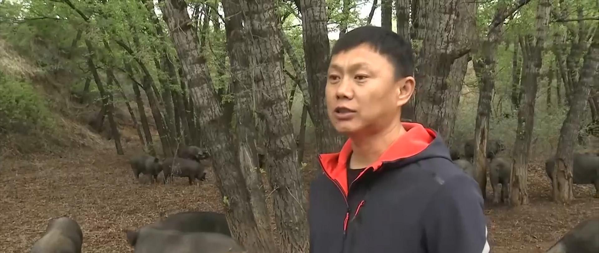 养殖致富的行业_致富养殖行业有哪些_养殖业致富项目