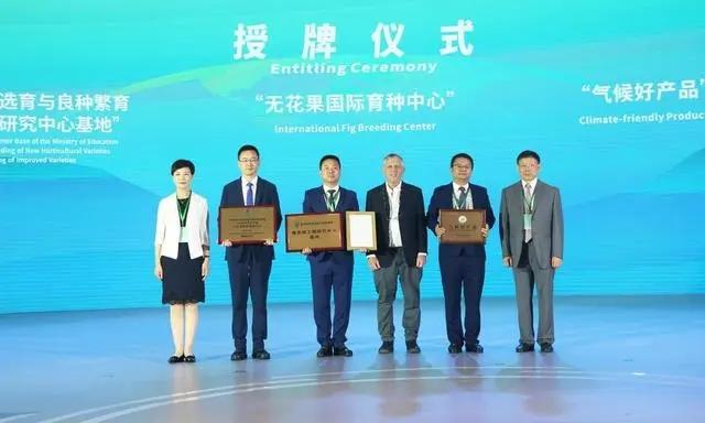 wwwntvcn农视养鸡网_农视手工网_农视网致富经无花果