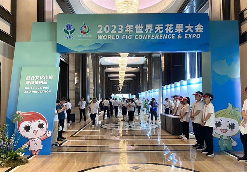 wwwntvcn农视养鸡网_农视网致富经无花果_农视手工网