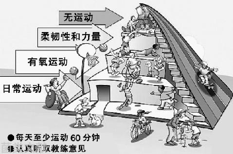 致富种植竹荪怎么样_致富种植竹荪视频_致富经竹荪种植
