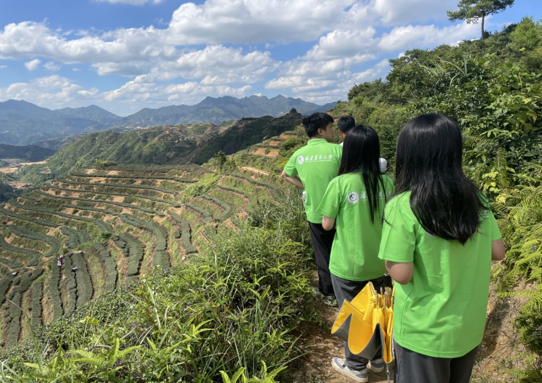 致富经竹荪种植_种植竹荪赚钱吗_竹荪种植前景与效益