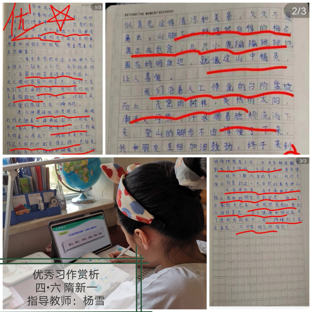 优质网课分享经验_网课的经验分享_网络课程分享