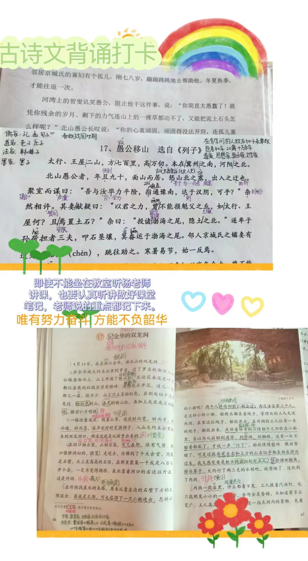 网络课程分享_网课的经验分享_优质网课分享经验