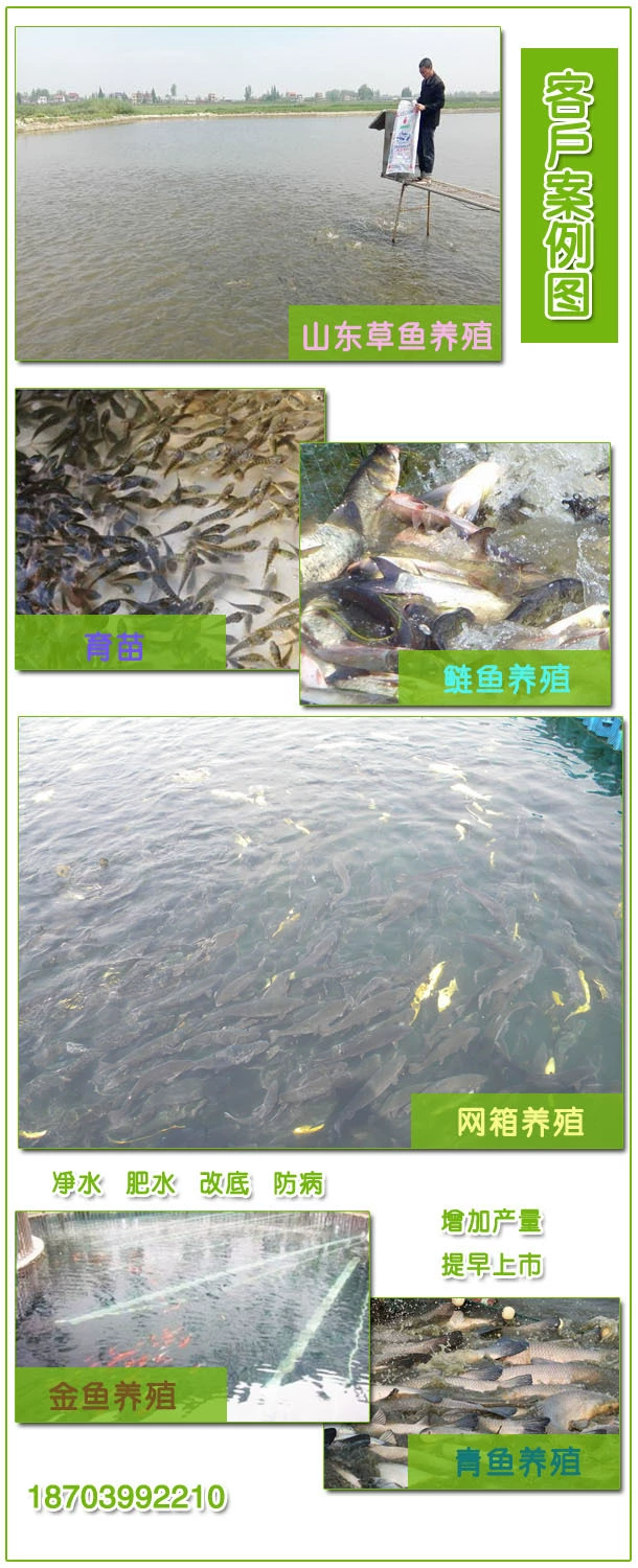 em原露在种植技术_什么是露地种植_露地栽培的常规管理
