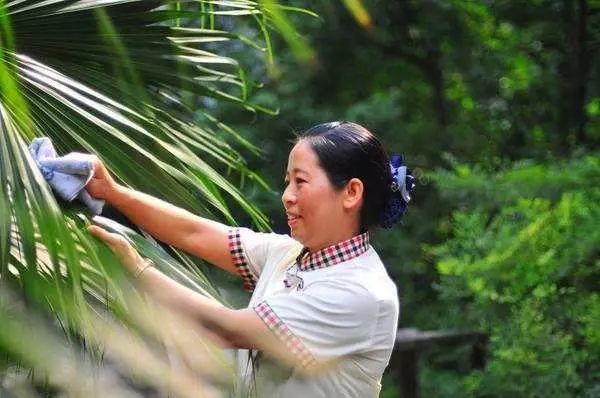 物业优质服务典型经验_物业典型优质经验服务案例_物业典型优质经验服务总结