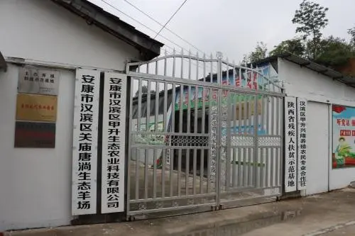 陕南地区适合种植什么_陕南植物类型_陕南种植物致富