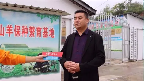 陕南植物类型_陕南种植物致富_陕南地区适合种植什么