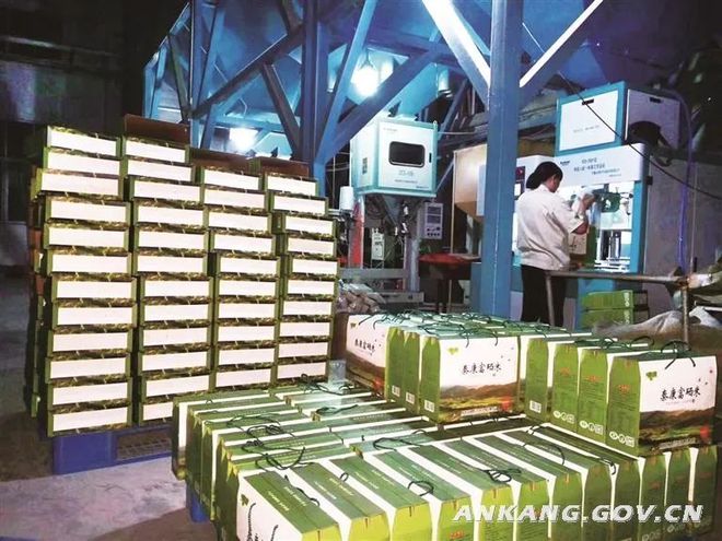 陕南种植物致富_陕南地区适合种植什么_陕南种植啥中药材好