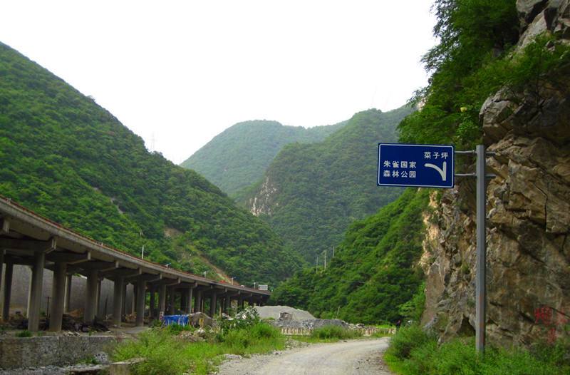 （大美秦岭）菜子坪： 陕南宁陕大山深处的