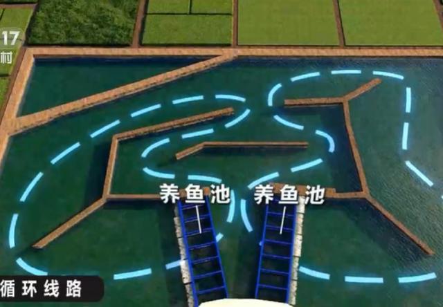 智慧养殖致富视频_养殖致富经视频_致富创业网养殖视频