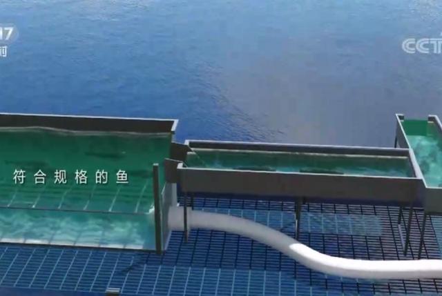 养殖致富经视频_致富创业网养殖视频_智慧养殖致富视频
