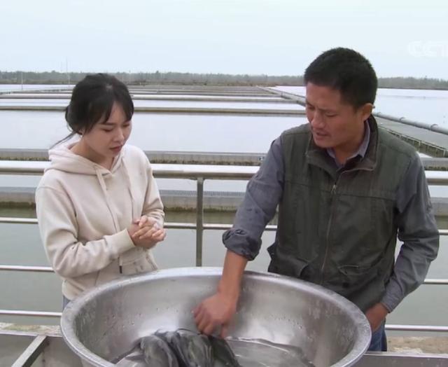 智慧养殖致富视频_养殖致富经视频_致富创业网养殖视频