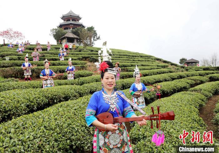 致富经卖种子_致富种植视频全集_种植致富经
