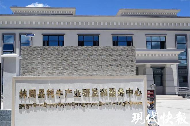 牧民养殖致富项目_致富养殖业_致富养殖牧民项目有哪些
