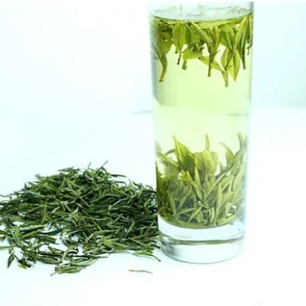成批种植兰花技术_兰花种苗批发_兰花栽培技术视频