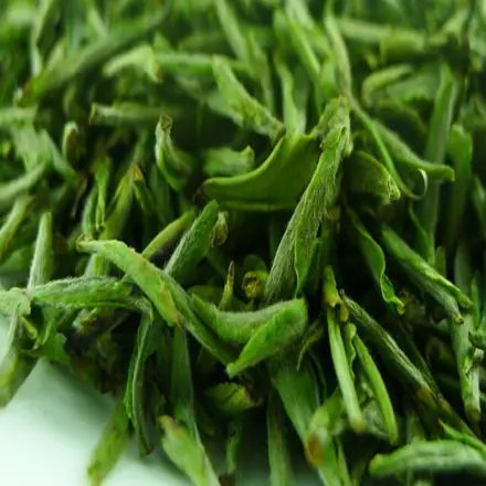 兰花种苗批发_成批种植兰花技术_兰花栽培技术视频