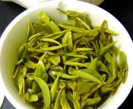 兰花种苗批发_成批种植兰花技术_兰花栽培技术视频