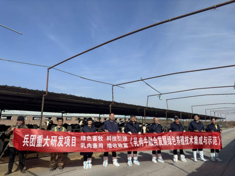 动科院动物营养与饲料创新团队赴八师牧场开展绿色养殖技术服务