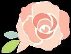 致富经菌菇种植_种蘑菇致富能手_村民种植致富菇