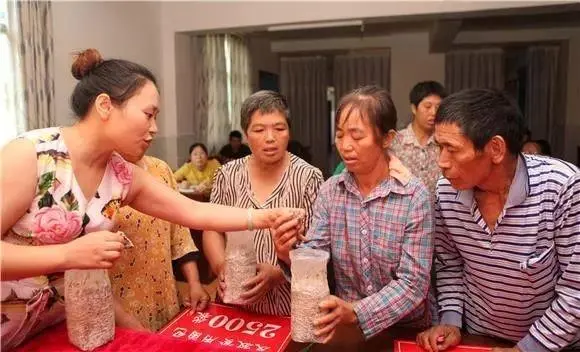 致富经菌菇种植_村民种植致富菇_种蘑菇致富能手