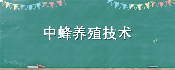 中蜂养殖技术