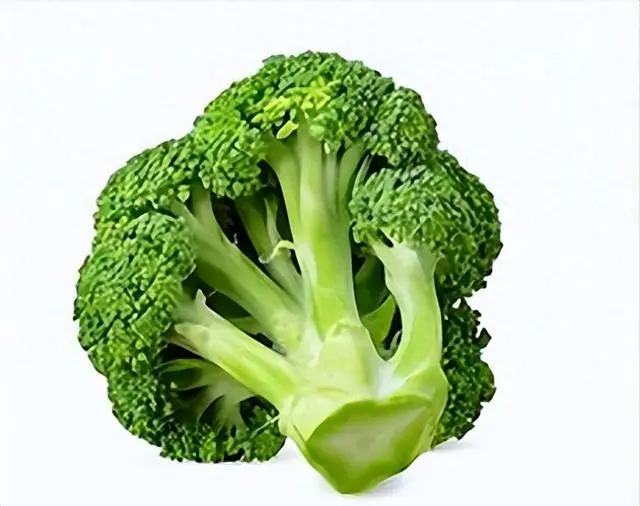 秋西胡瓜种植技术_秋西葫芦种植技术_山东秋西胡种植技术