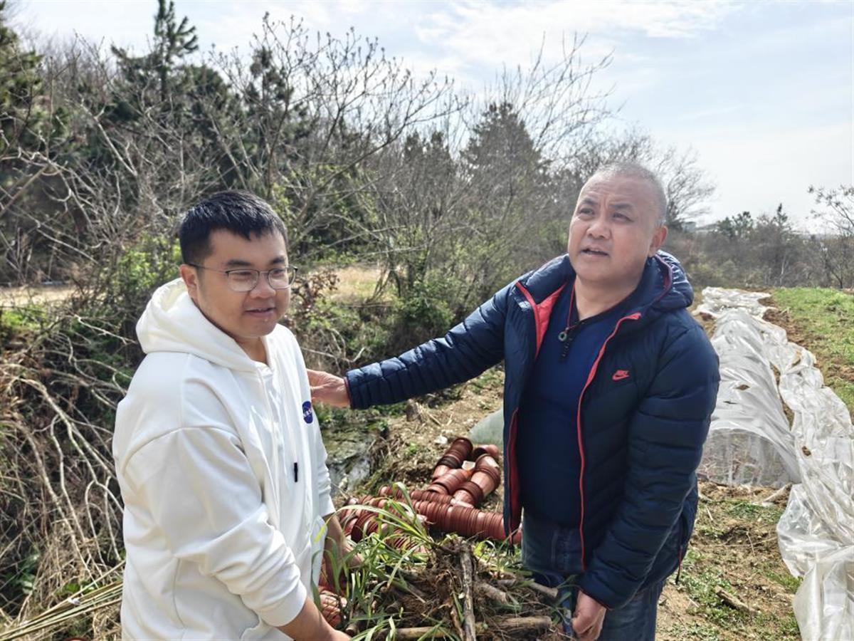致富经杂交马视频播放_致富经杂交马视频播放_致富经杂交马视频播放
