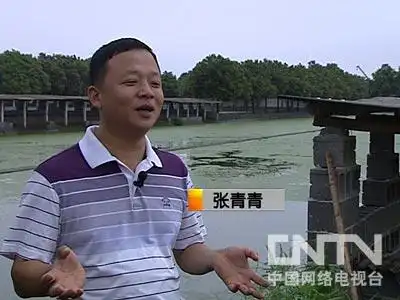 致富经养龟_致富经养殖龟_致富经龟类养殖