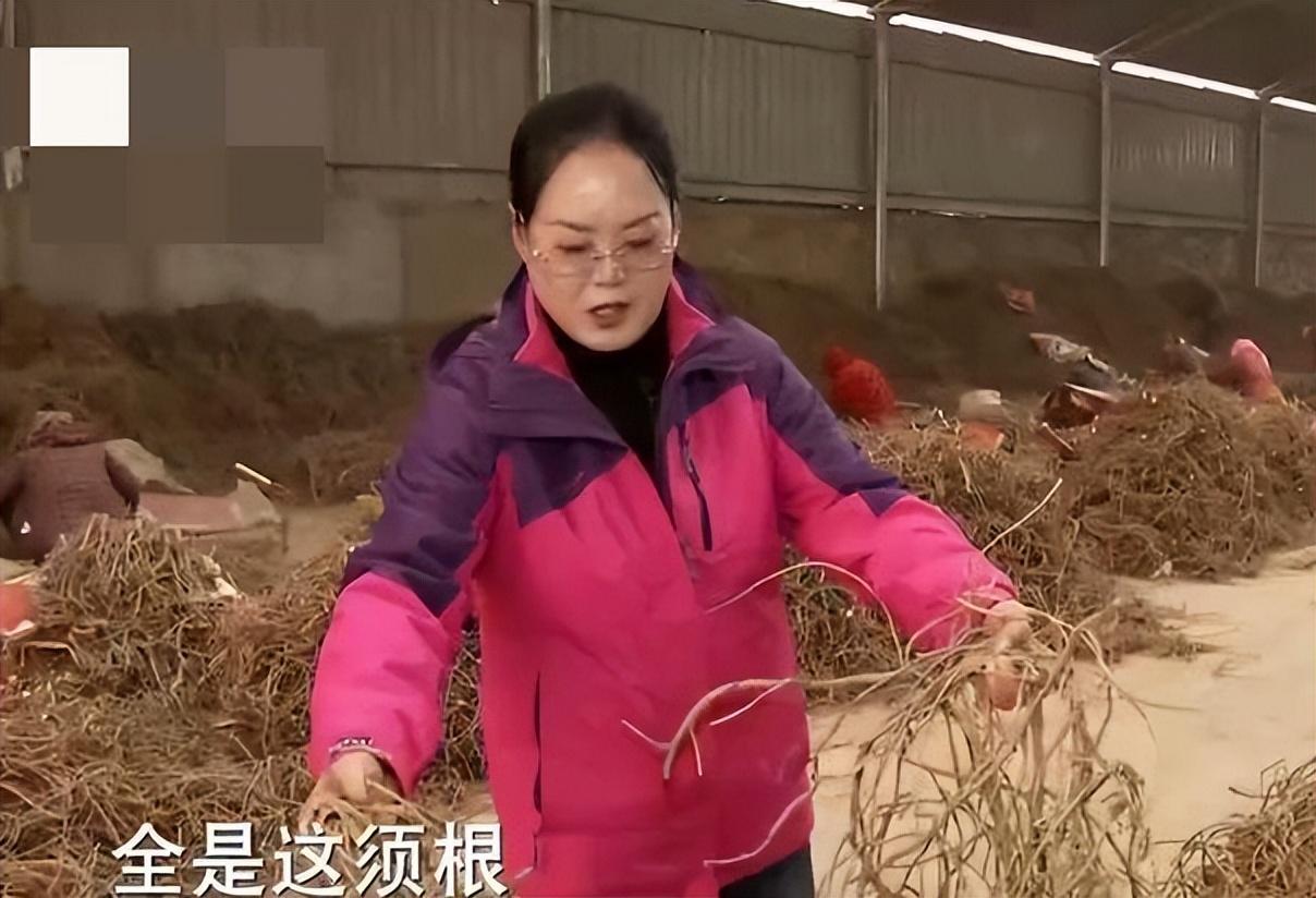致富经甘肃舒芳_致富经甘肃肃舒芳_甘肃致富网