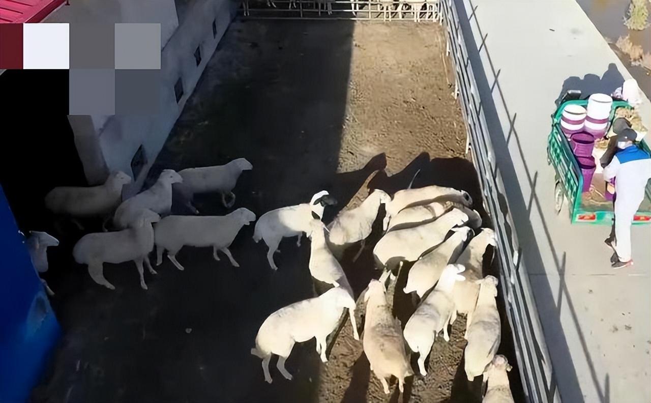 甘肃致富网_致富经甘肃舒芳_致富经甘肃肃舒芳