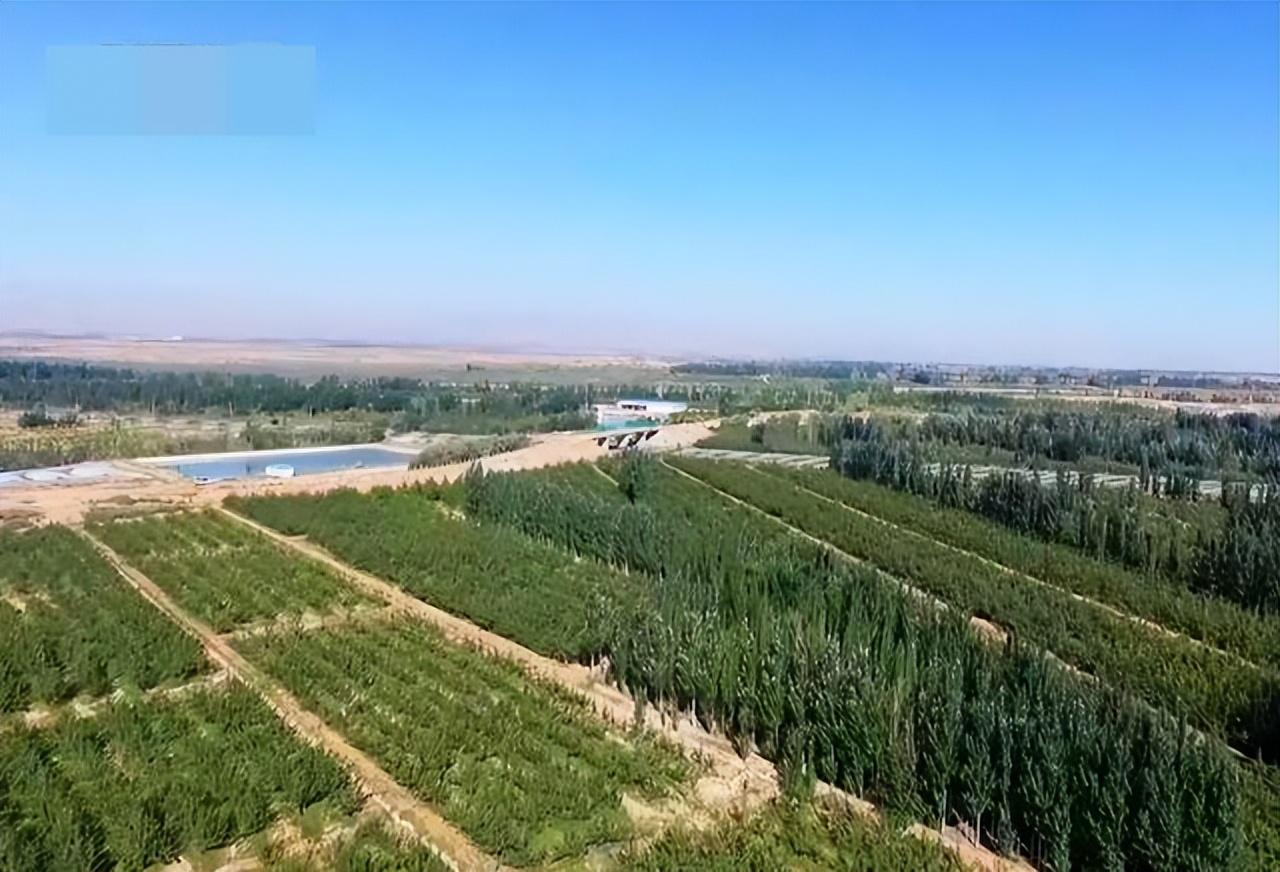 致富经甘肃肃舒芳_致富经甘肃舒芳_甘肃致富网