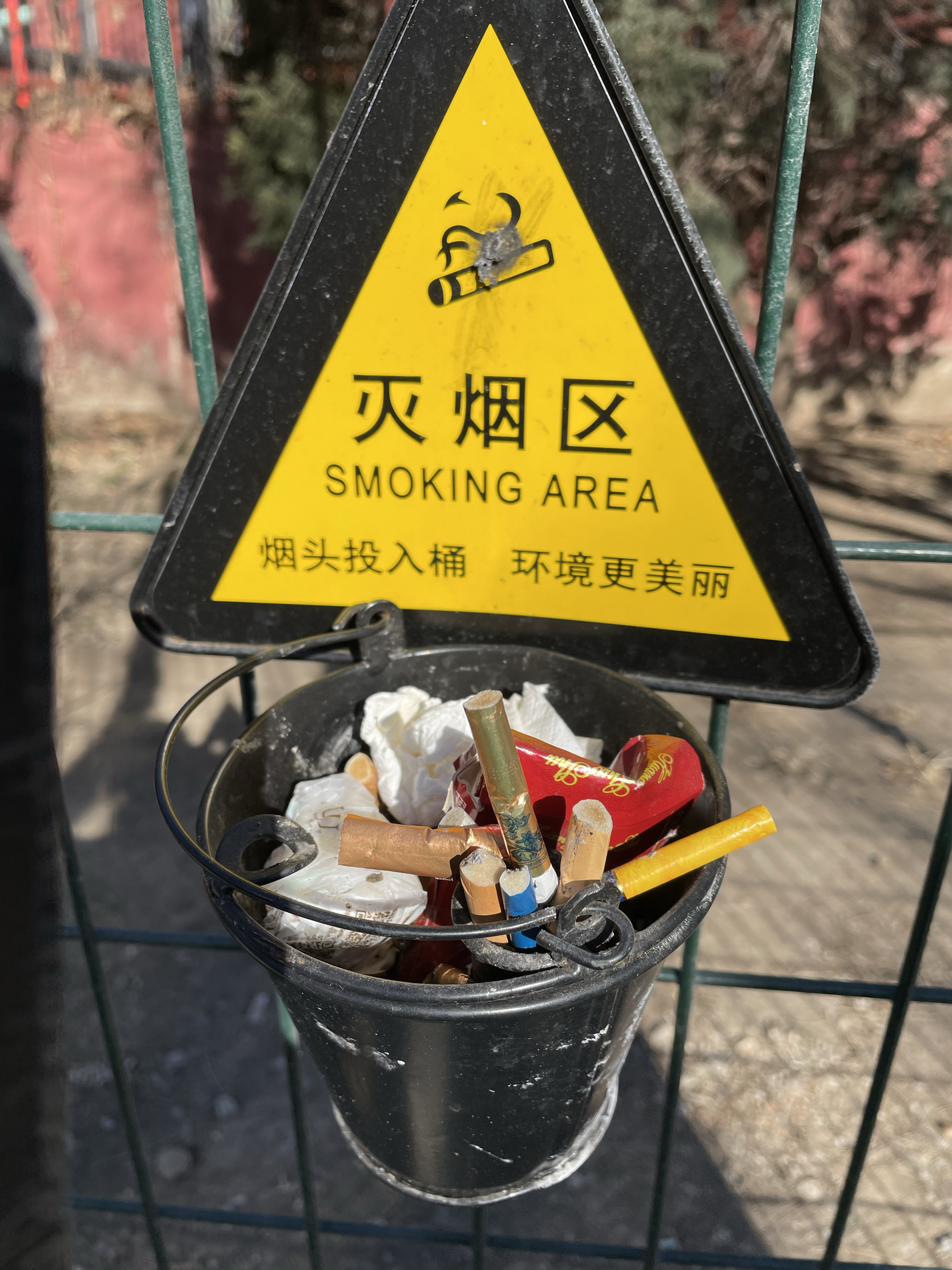 种植烟草致富材料_烟草种植赚钱吗_致富烟草种植材料有哪些
