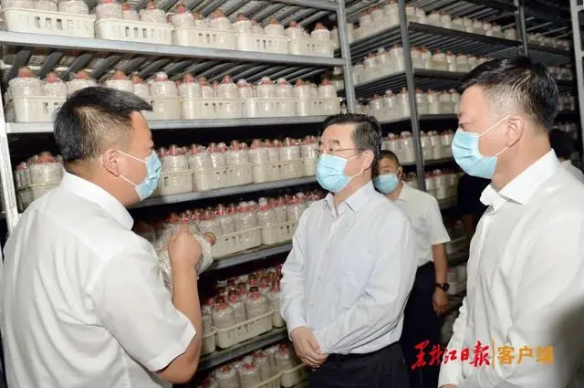张庆伟在海伦市、拜泉县调研检查时强调：确保脱贫群众稳得住能致富
