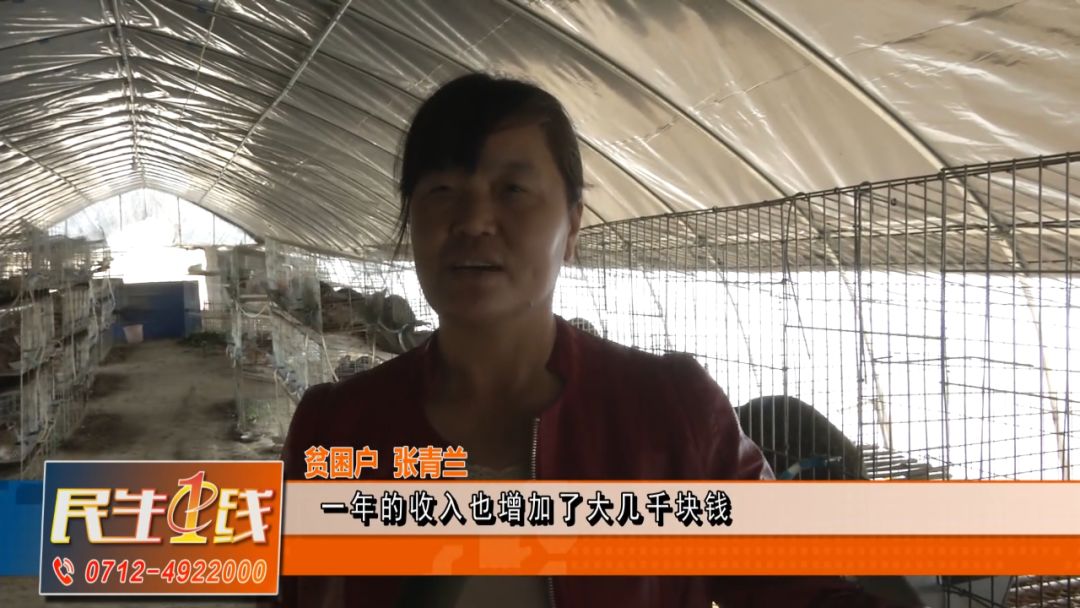养殖致富网视频_视频致富养殖门路图片_养殖致富门路视频