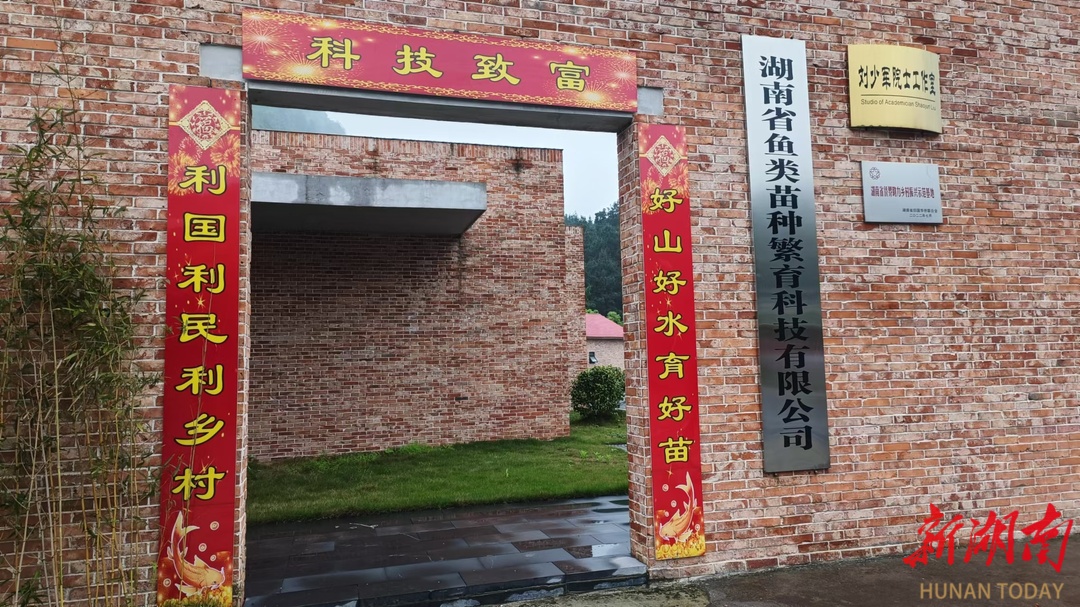 大口黑鲈养殖周期_大口黑鲈在水库能自然繁殖吗_大口黑鲈成鱼养殖技术