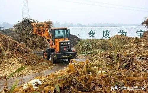 我看一下农业致富经_农业致富好项目视频_看农业致富经