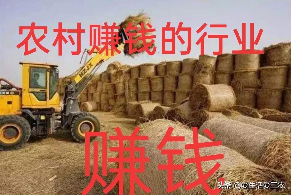 农业致富好项目视频_我看一下农业致富经_看农业致富经