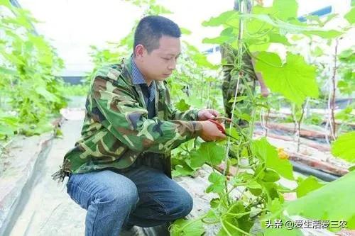 我看一下农业致富经_看农业致富经_农业致富好项目视频