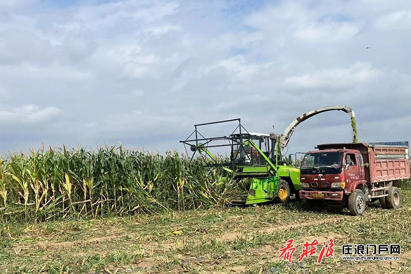 养殖致富路有哪些项目_养殖致富门路视频_养殖致富网视频